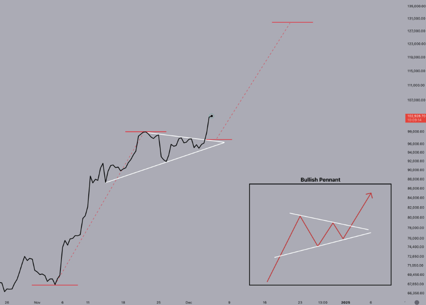 - Coin Push Crypto Alerts BTC/USD chart. Source: Jelle/X